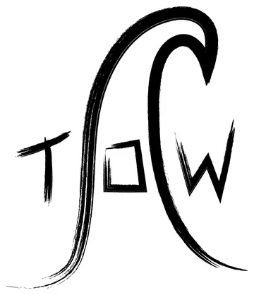 Tow model logo